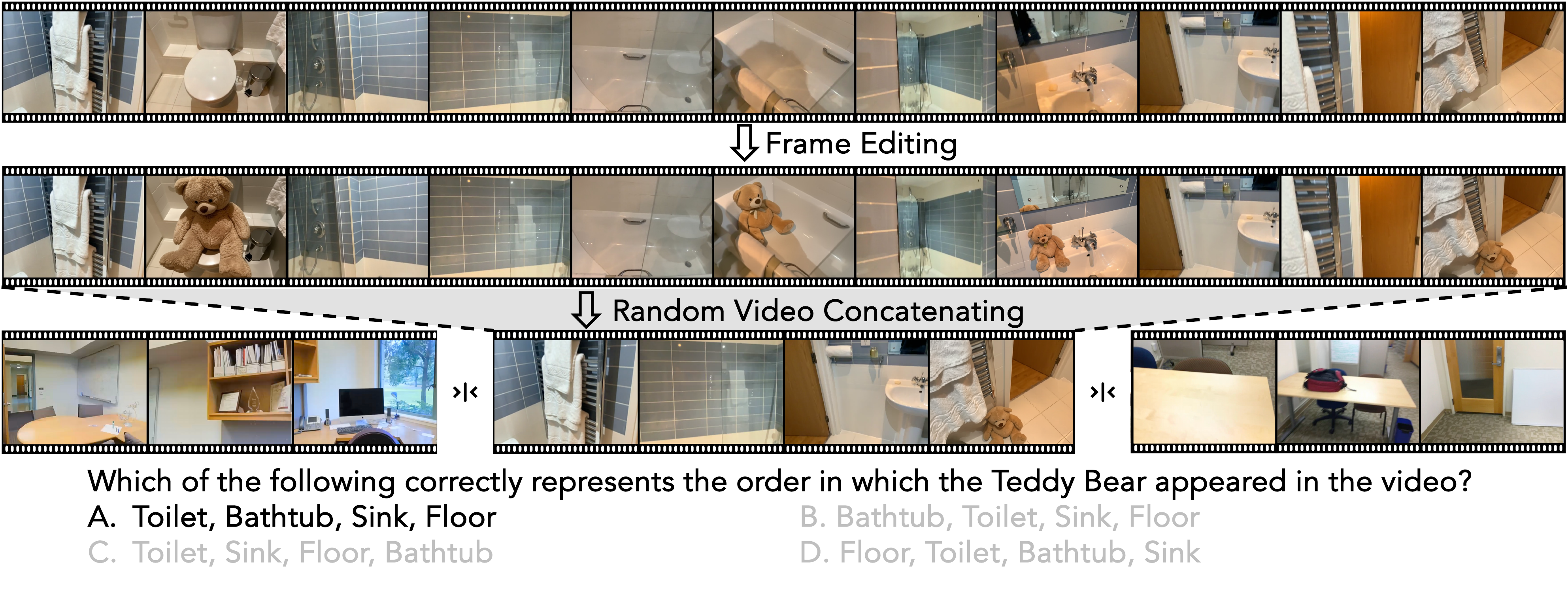 VSR task illustration